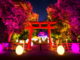 20190627【Press News/Travel】チームラボ、京都の世界遺産 下鴨神社にて今年もアート展。規模を拡大した「下鴨神社 糺の森の光の祭 Art by teamLab – TOKIO インカラミ」令和元年8月17日から9月2日まで